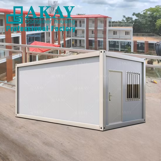 Low Price ISO Certificated Prefab Mobile Modular Tiny Steel Structure Frame Assemble Flat Pack Container House